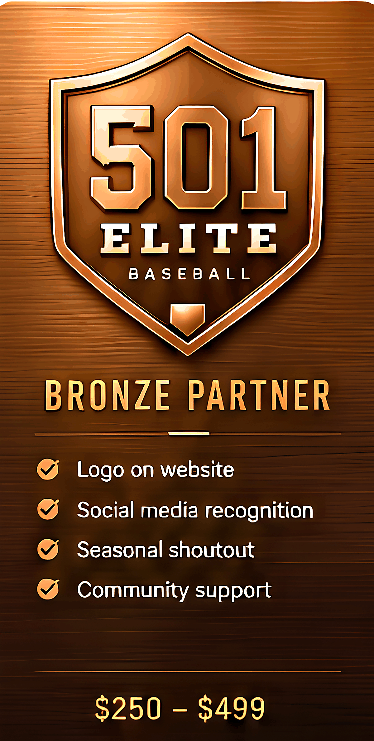 Bronze Sponsor level for 501 Elite Baseball