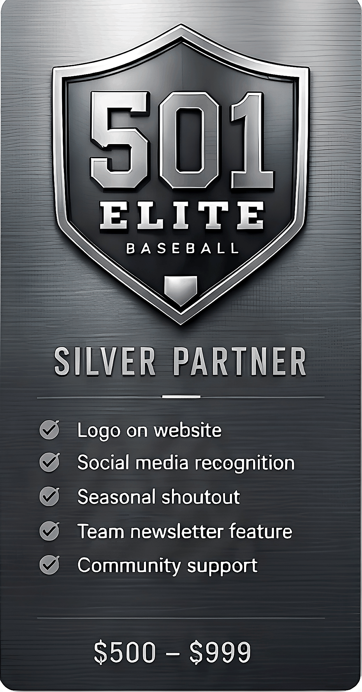 Silver Sponsor level for 501 Elite Baseball